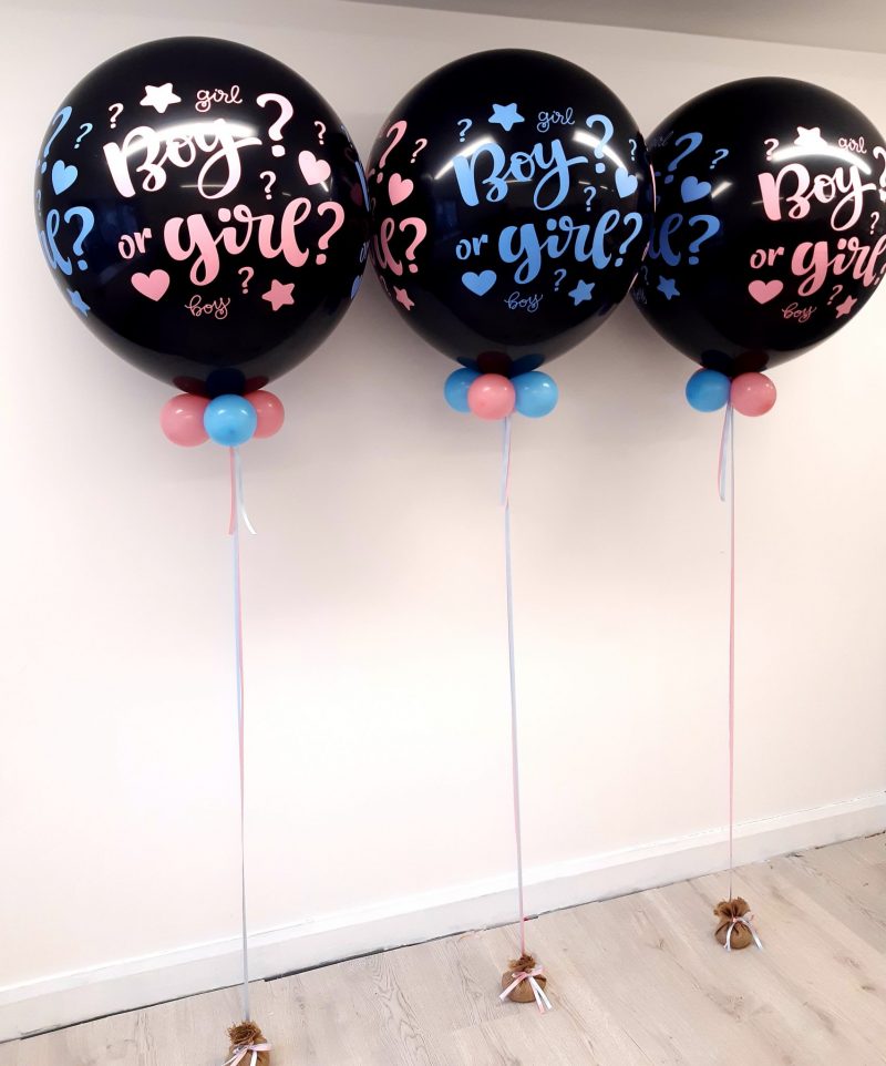 Gemar Gender Reveal – 305869